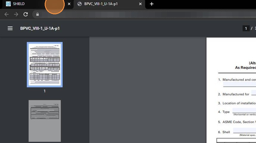 PDF opens in a new browser tab