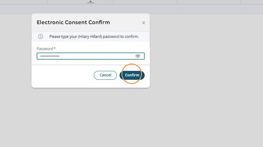 Password confirmation prompt