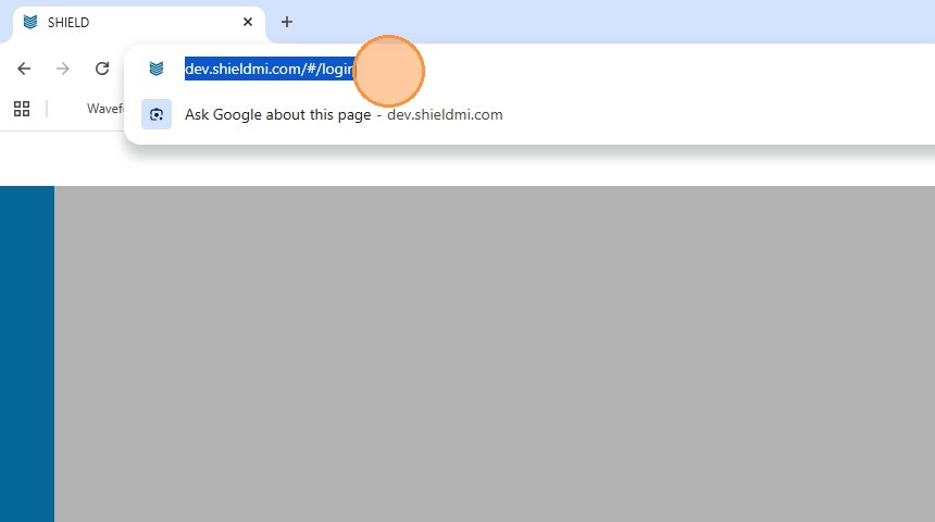 Remove /#/login from the URL