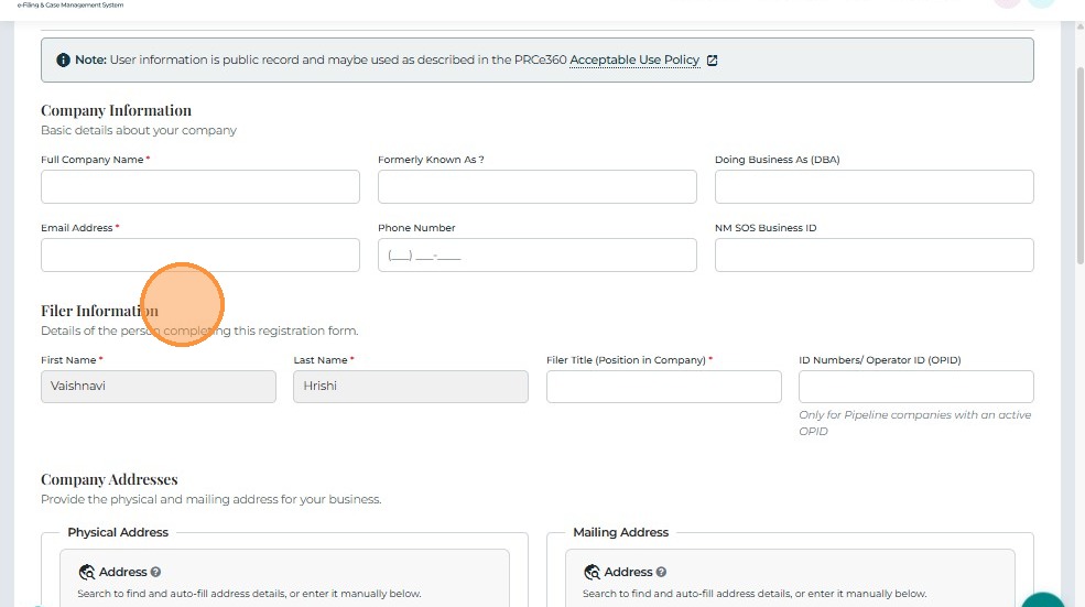 Filer Information fields