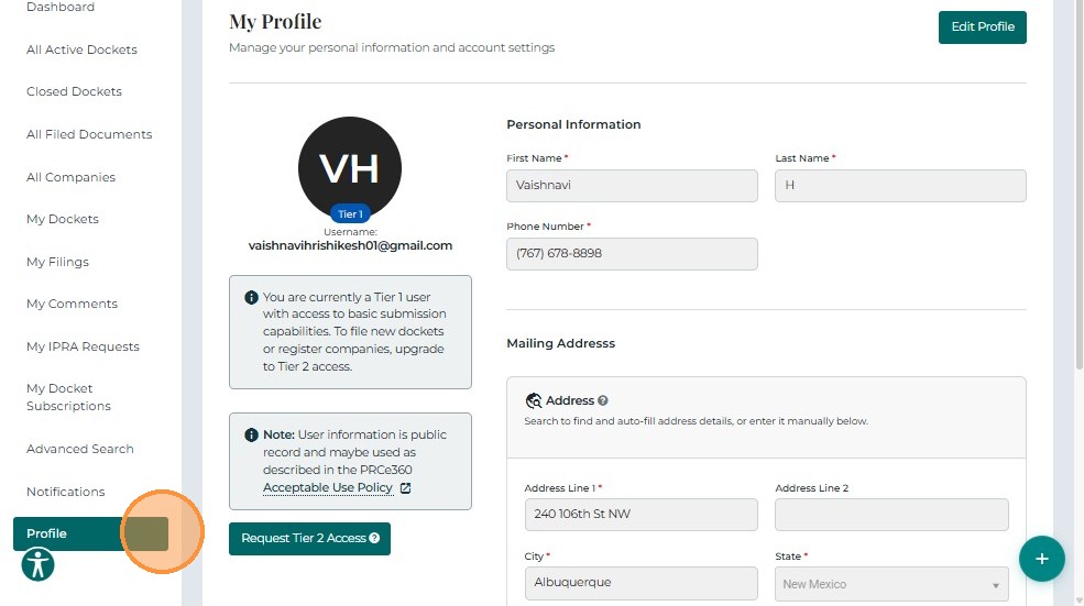 Tier 1 User Profile View