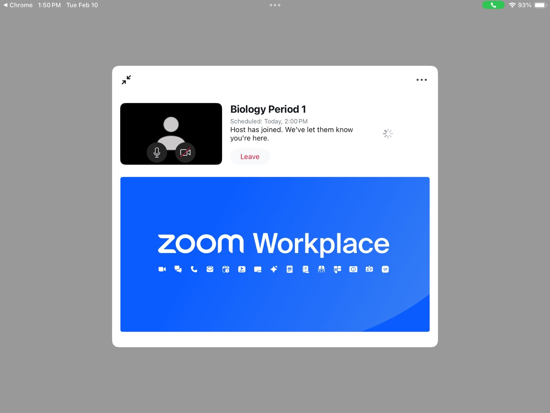 Zoom waiting room screen