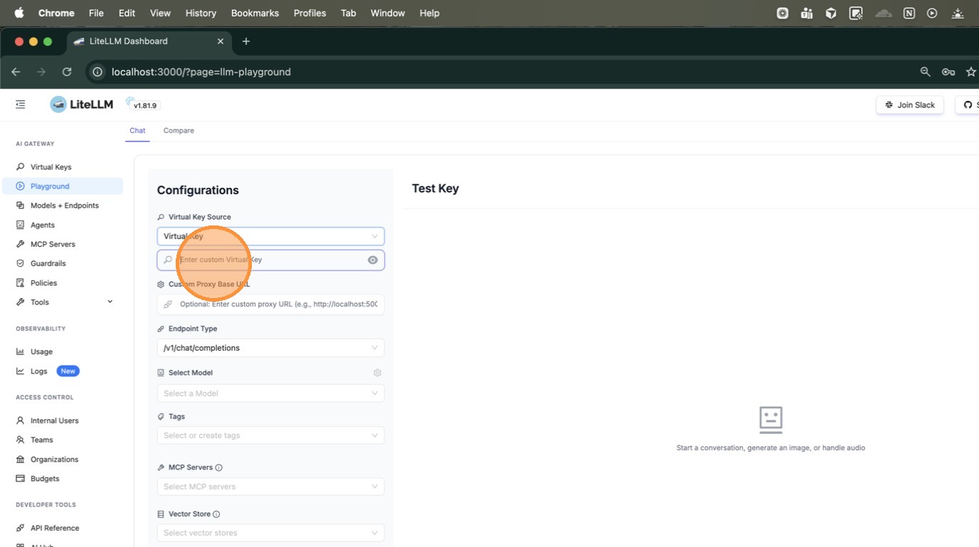 Paste the virtual key into the Playground configuration