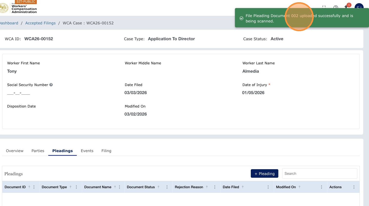 Pleading form — additional view