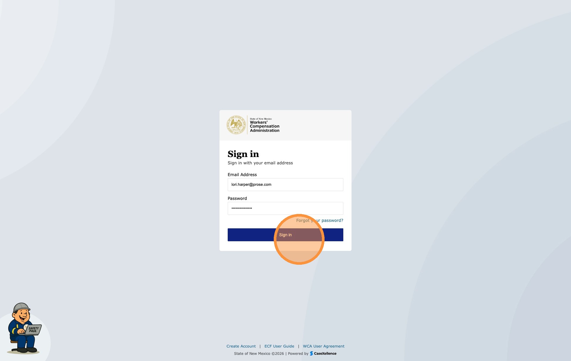 Pro se dashboard view
