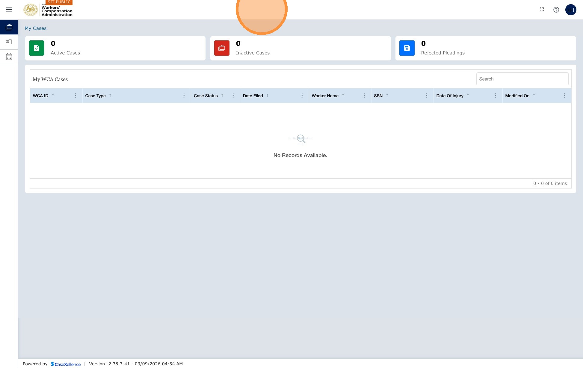 Pro se case view