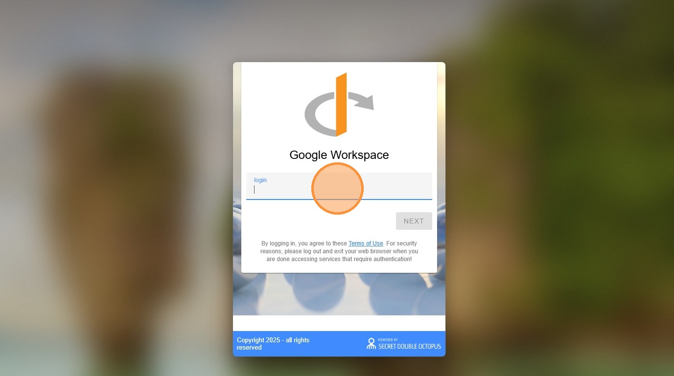 Enter Google email in SDO screen
