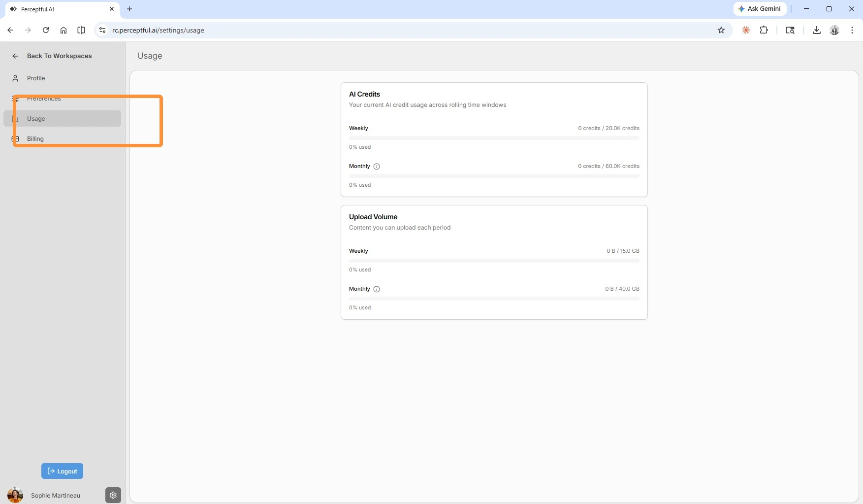 Usage statistics panel