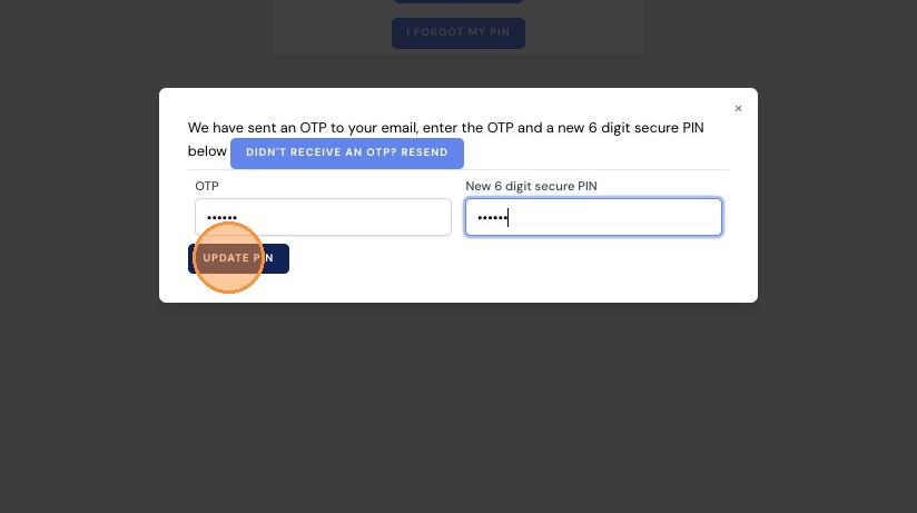 Pin Secure Button Enter the OTP and your new 6-digit secure PIN.