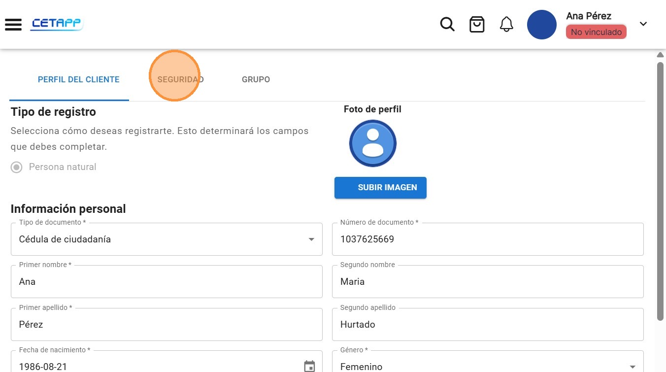 Pestaña Seguridad