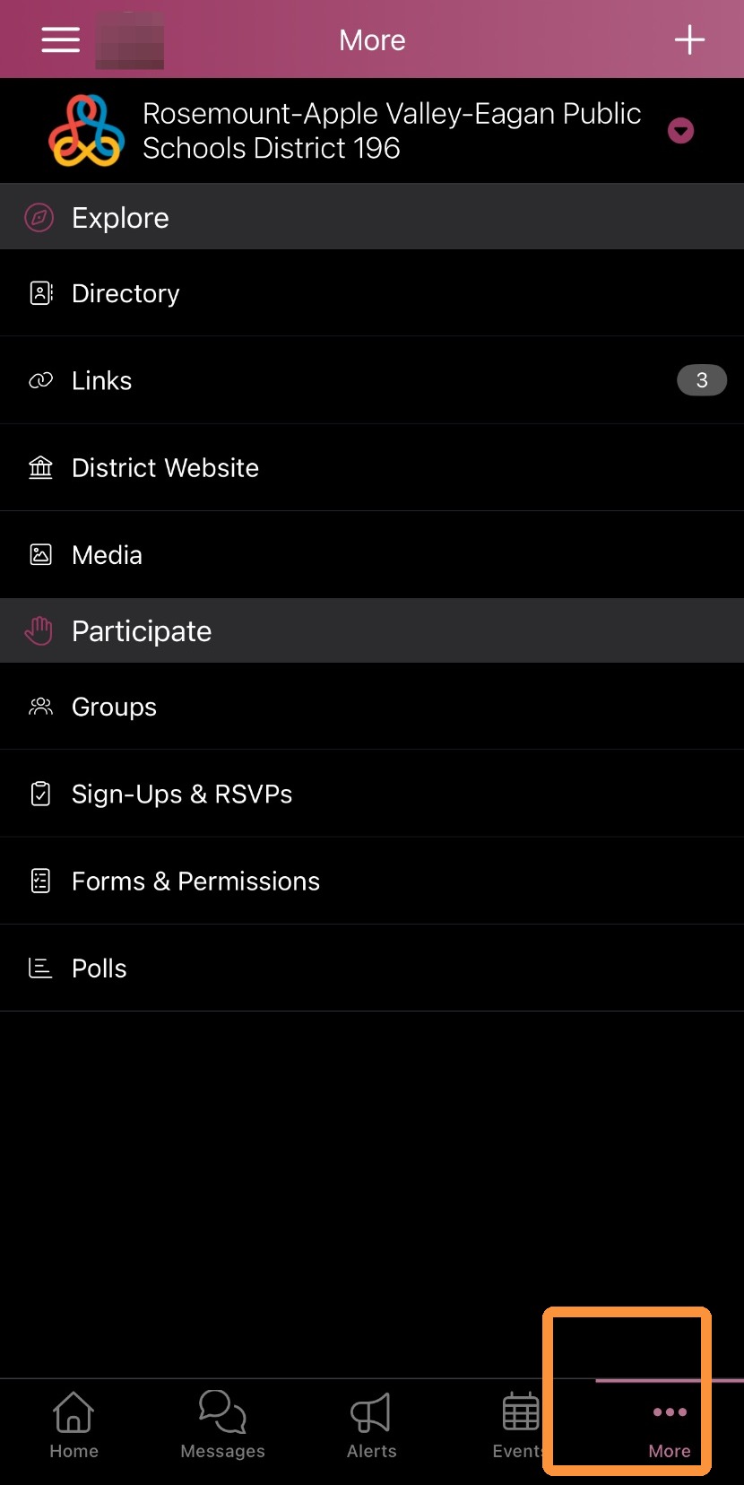 ParentSquare app menu for District 196 schools with the "More" icon highlighted in the bottom corner.