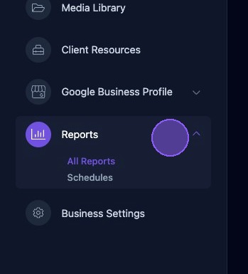 Screenshot showing the Reports dropdown menu