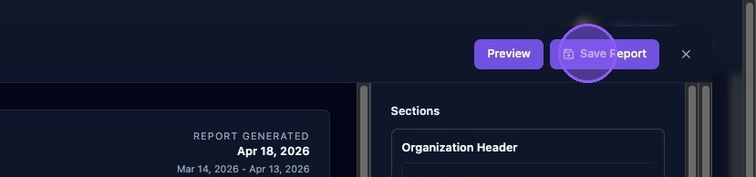 Screenshot showing Preview and Save Report actions