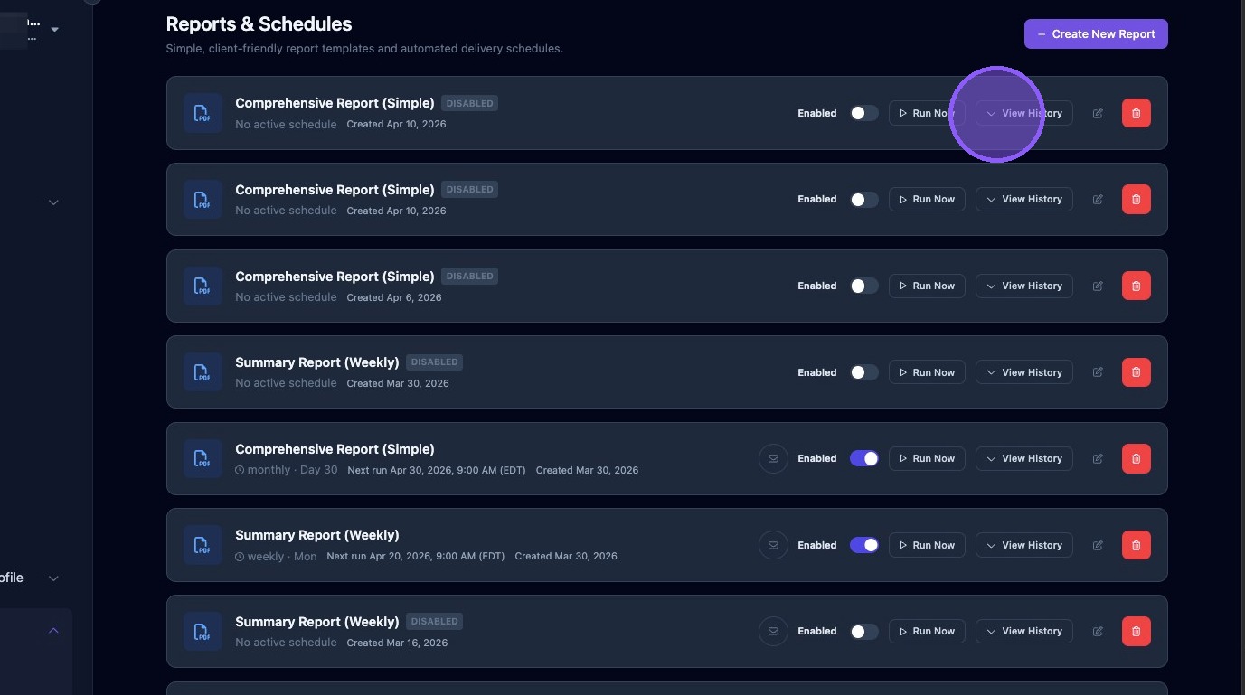 Screenshot showing the Reports and Schedules list
