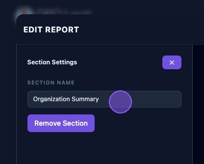Screenshot showing the Section editor