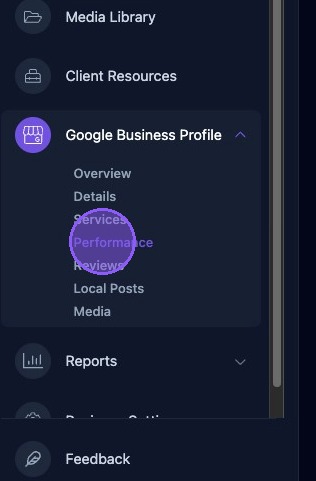 Screenshot showing the Performance selection under Google Business Profile