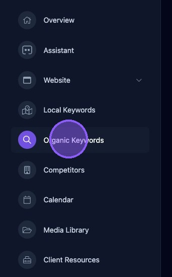 Screenshot showing Organic Keywords in the business dashboard
