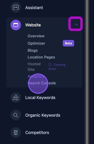 Screenshot showing the Search Console selection in the Website dashboard menu