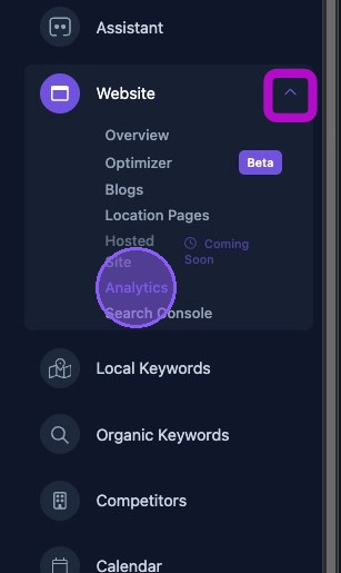 Screenshot showing the Analytics selection in the Website dashboard menu
