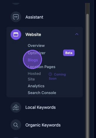 Screenshot showing the Blogs selection in the Website dashboard menu
