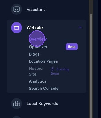 Screenshot showing the Website Overview selection in the dashboard