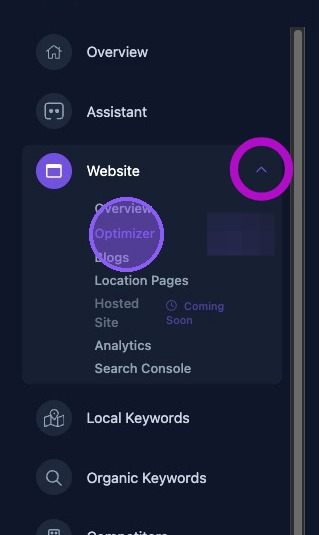 Screenshot showing the Website Optimizer selection in the dashboard