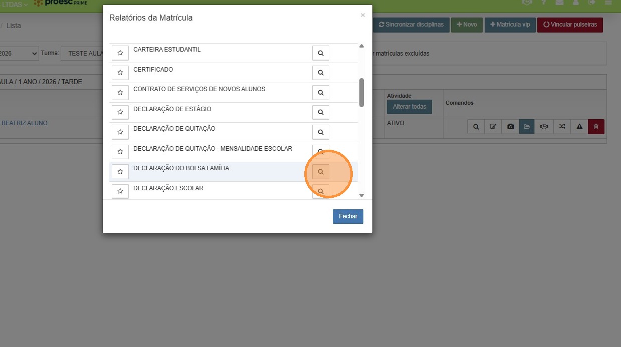 Opção Declaração do Bolsa Família com ícone de lupa